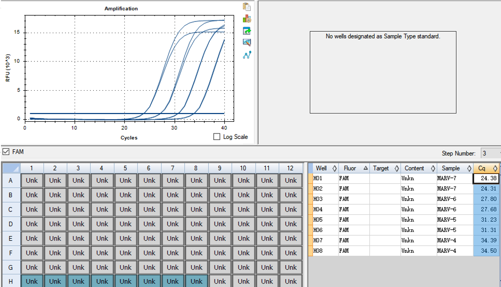 Marburg Virus GP Gene Pseudovirus RNA Liquid Internal Quality Control Material-BNCC