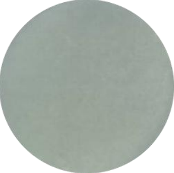 Raoultella ornithinolytica DNA Standard-BNCC