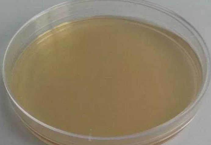 Forest encephalitis virus 3'UTR gene pseudovirus ribonucleic acid liquid indoor quality control product-BNCC