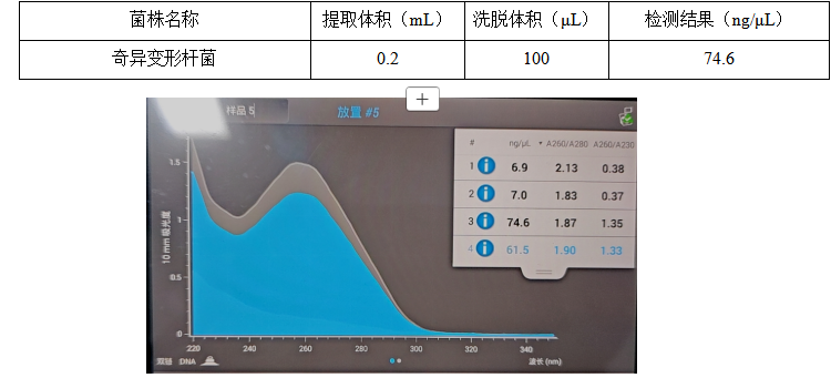 Indoor quality control product for deoxyribonucleic acid liquid of Proteus mirabilis-BNCC