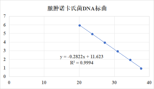 Nocardia abscessus DNA lab quality control-BNCC