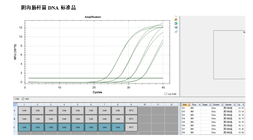 Enterobacter cloacae DNA standard-BNCC