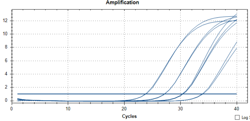 Mycobacterium bovis DNA Liquid Internal Quality Control Material-BNCC