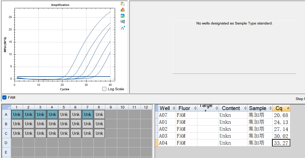 Fecal Segatella DNA Standard-BNCC