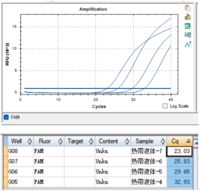Indoor quality control product for deoxyribonucleic acid of tropical Candida albicans-BNCC