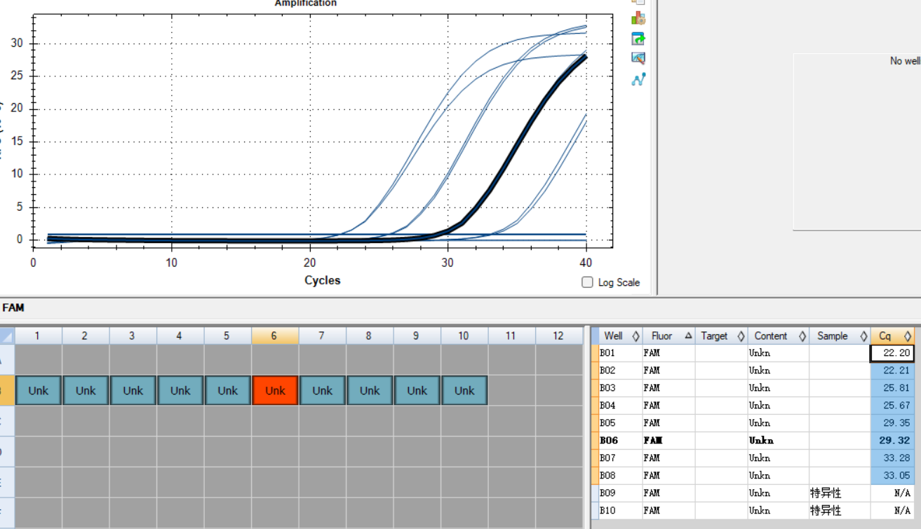 Mannheim bacteria DNA standard-BNCC